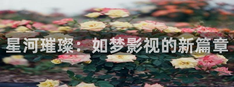 韩国影视推荐：星河璀璨：如梦影视的新篇章