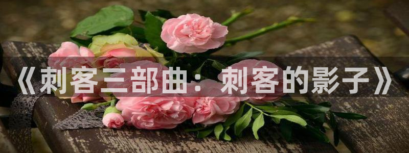 韩国影视剧：《刺客三部曲：刺客的影子》