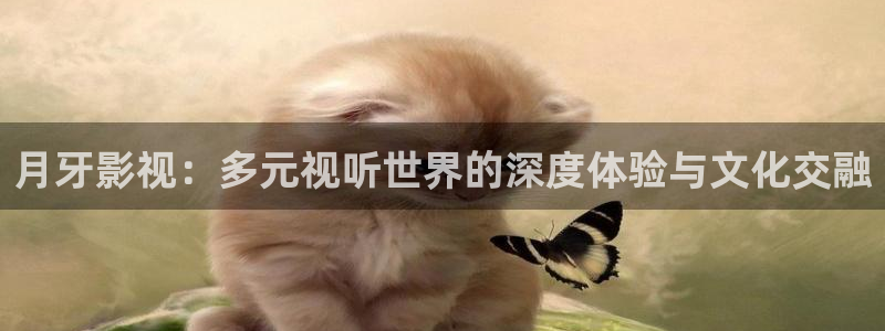 韩国影视免费观看：月牙影视：多元视听世界的深度体验与文化交融