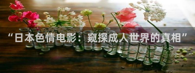韩国影视剧：“日本色情电影：窥探成人世界的真相”