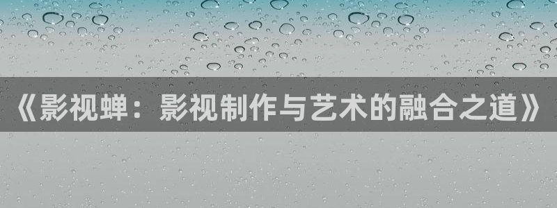 穿梭在韩国影视世界的小说：《影视蝉：影视制作与艺术的融合之道》
