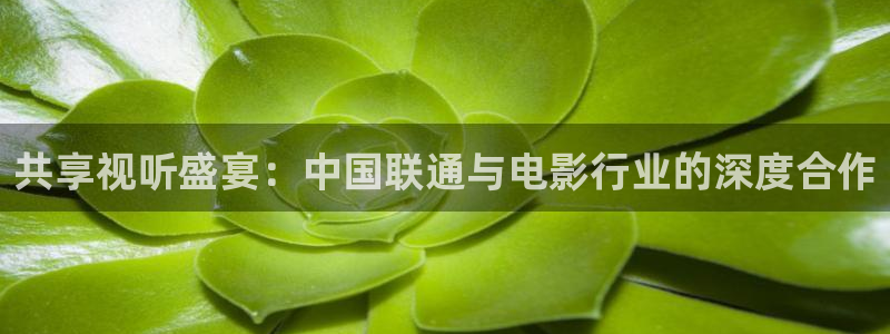 韩国影视大全：共享视听盛宴：中国联通与电影行业的深度合作