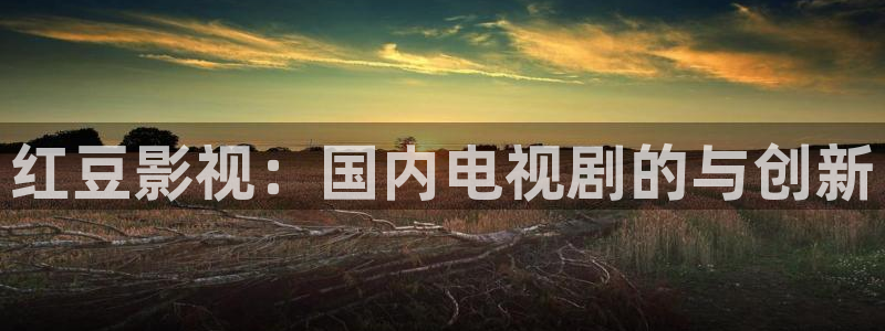 成人韩国影视：红豆影视：国内电视剧的与创新